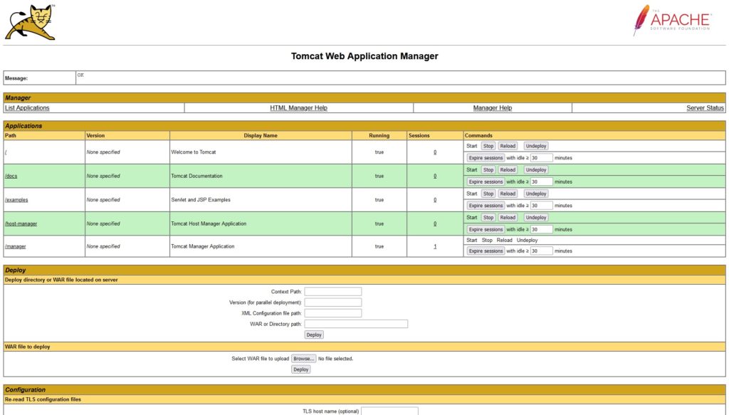 Tomcat Web Application Manager